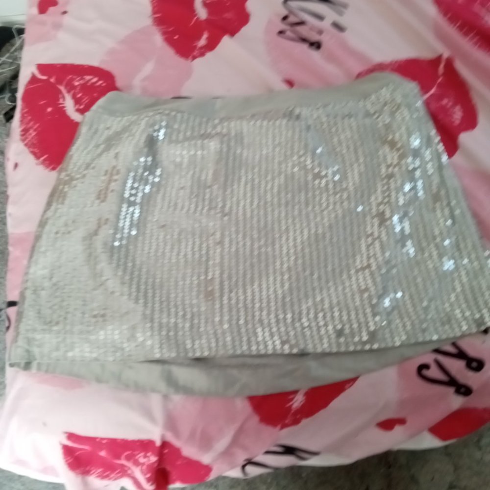 Silver sequin skirt. Size 20